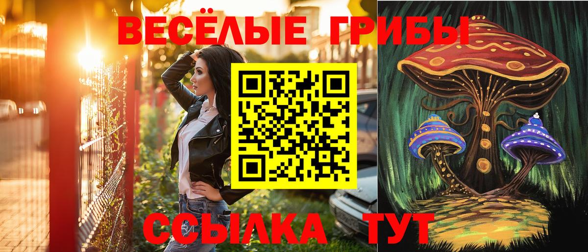 Галлюциногенные грибы мицелий Менделеевск