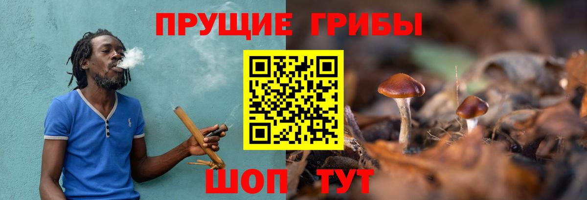 Менделеевск  Псилоцибиновые грибы Cubensis  Галлюциногенные грибы Psilocybe  Вход с VPN 